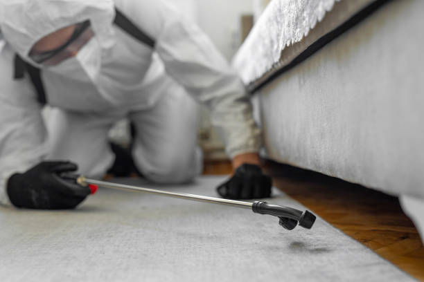 Professional Termite Control technician working in Comfort, TX