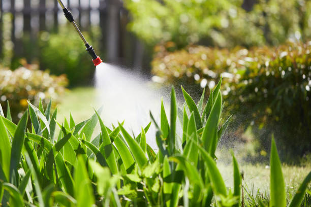 24/7 Emergency Termite Control experts in Comfort, TX